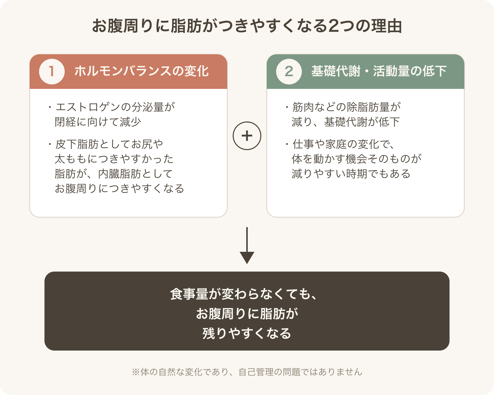 40代からお腹周りだけ脂肪がつきやすくなる2つの理由の図解