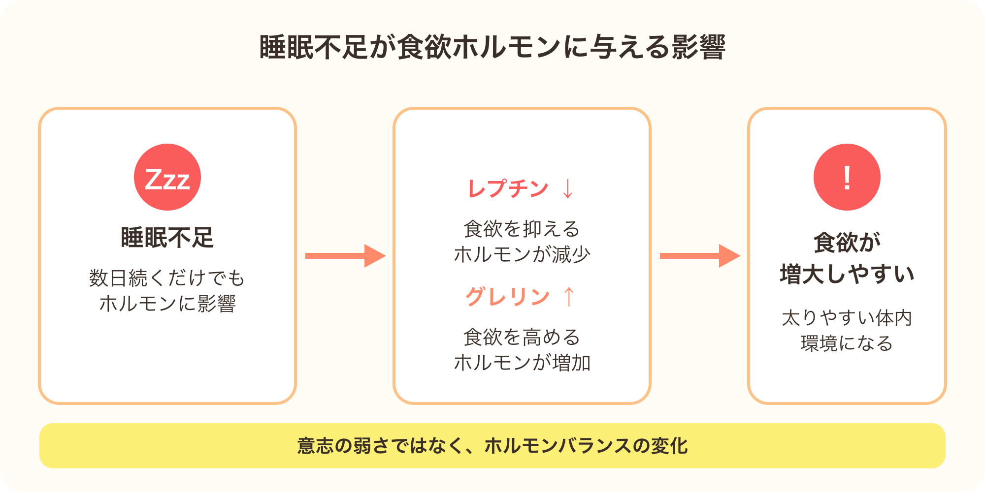 睡眠不足がレプチン・グレリンという食欲ホルモンに与える影響を示す図解