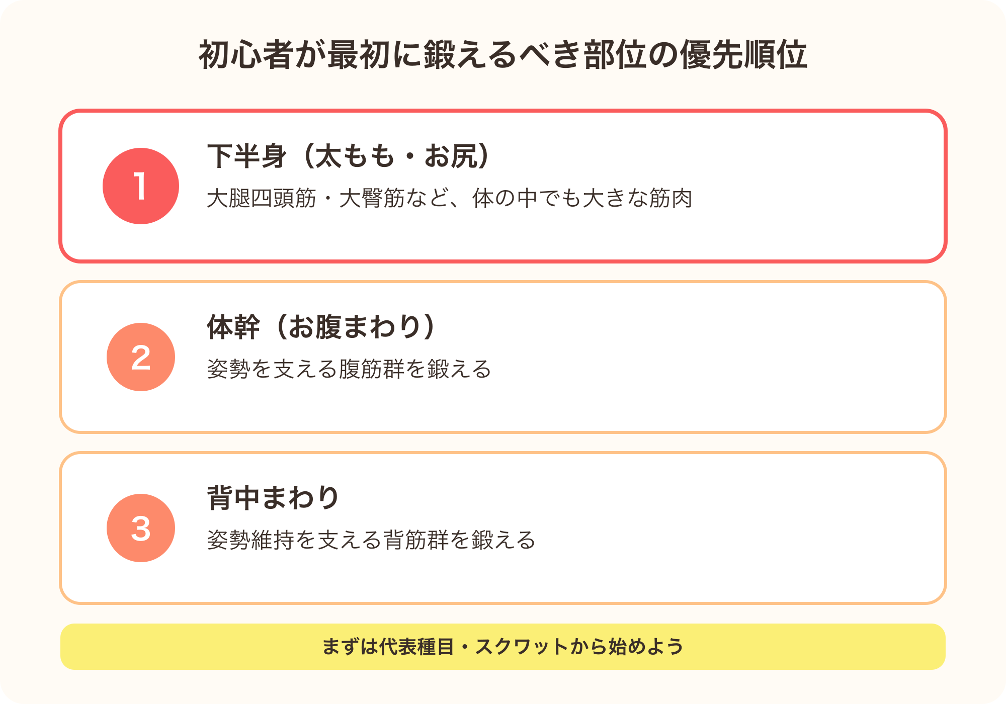 筋トレ初心者が最初に鍛えるべき部位の優先順位を示す図解