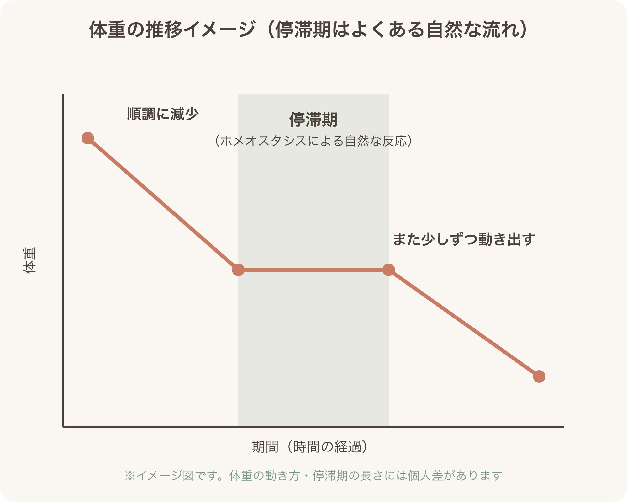 停滞期は「失敗」ではなく「順調に進んでいる証拠」であることを示す図解