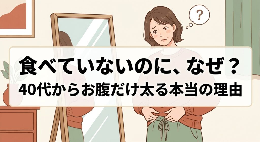 40代からお腹だけ太る本当の理由——ホルモンと活動量の変化を紹介する記事のアイキャッチ画像